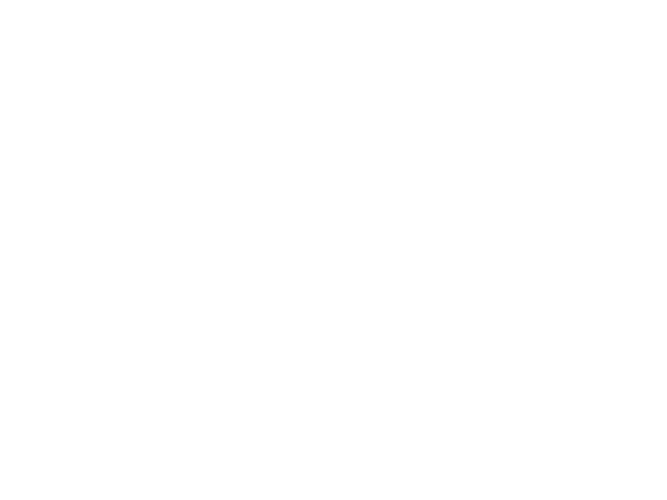 Google-ANALyitics